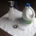 Water and Bleach Sanitizer Spray